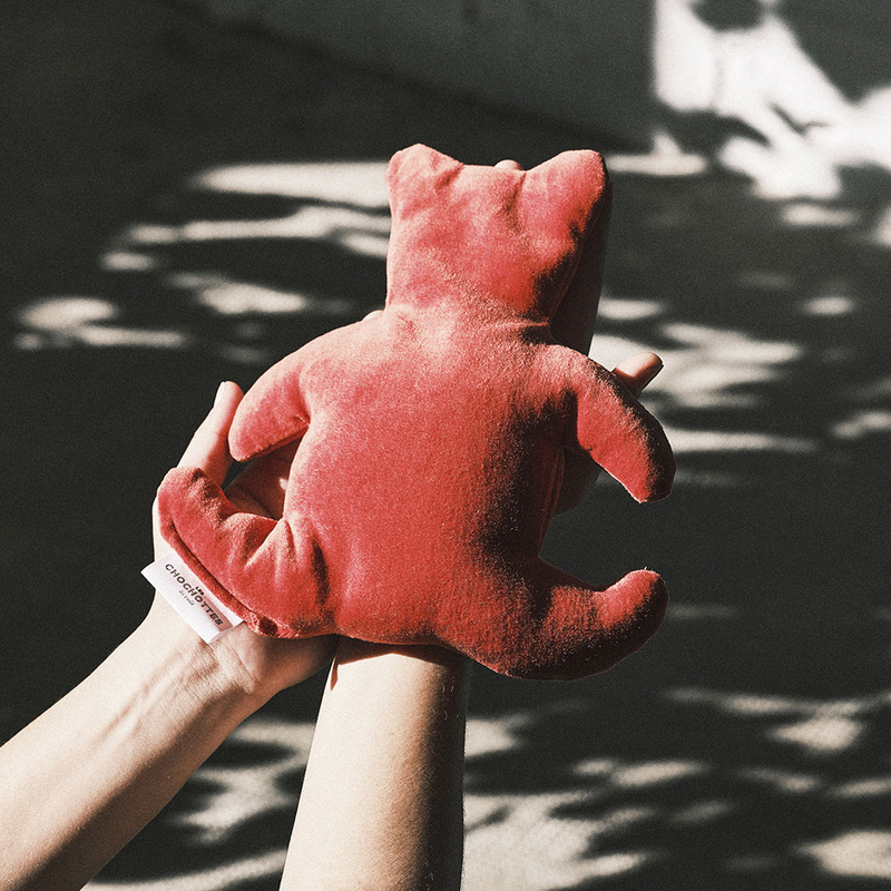 Coussin chaud ou froid en forme de nounours pour détendre les muscles, soigner les douleurs et dormir au chaud